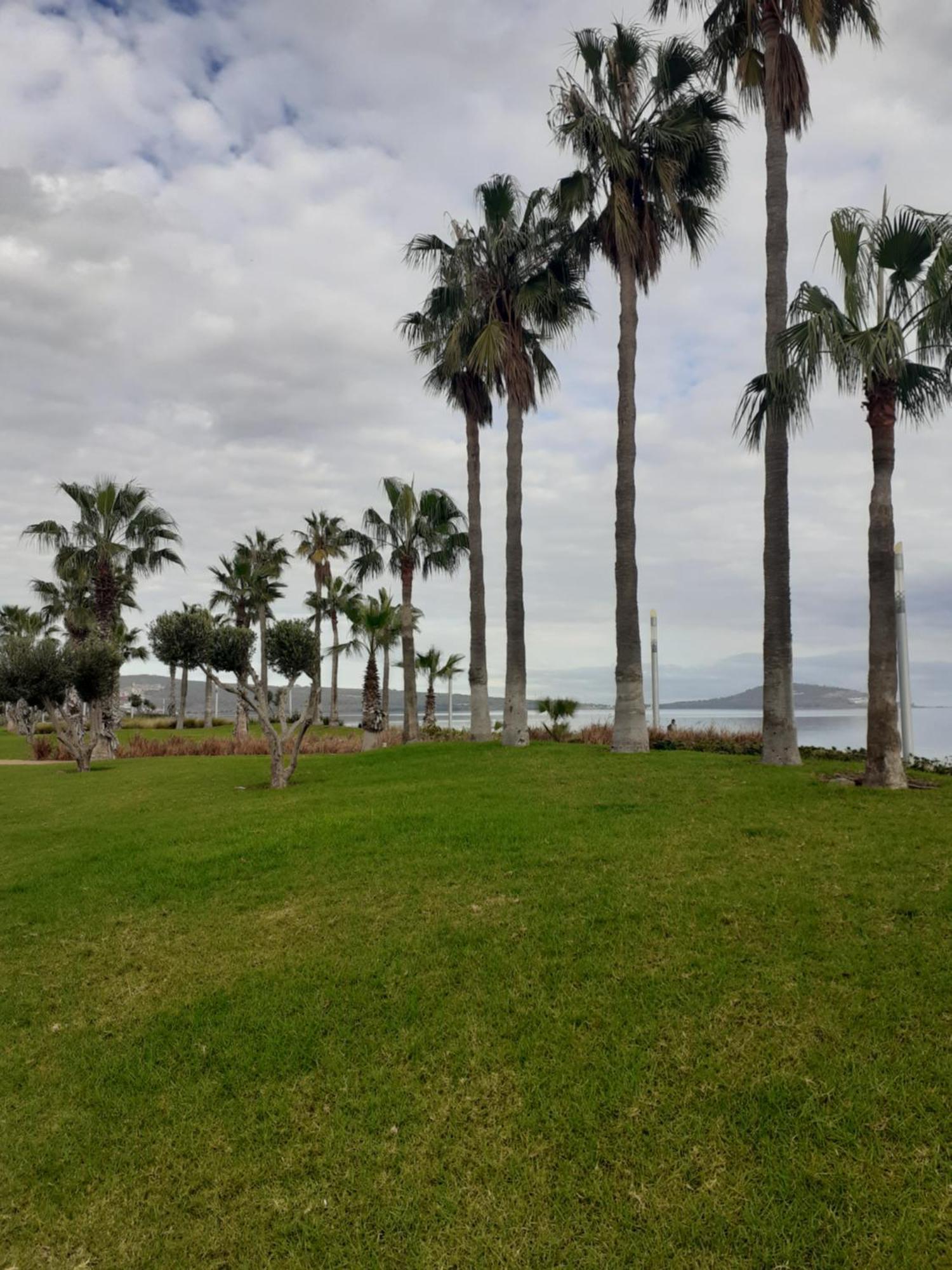 Apartamento Cerca Del Mar Nador Exteriör bild